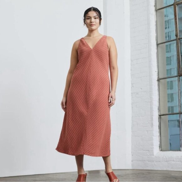 Everlane Dresses & Skirts - Everlane NWT Rust Colored City Striped Sleeveless V-neck Midi Dress